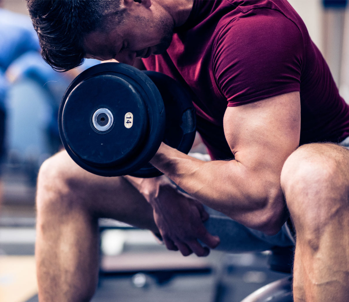 Volume bodybuilding cheap