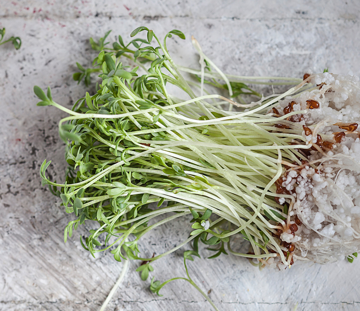 Boost Sport Performance 15 Foods High in Nitrates Men's Journal