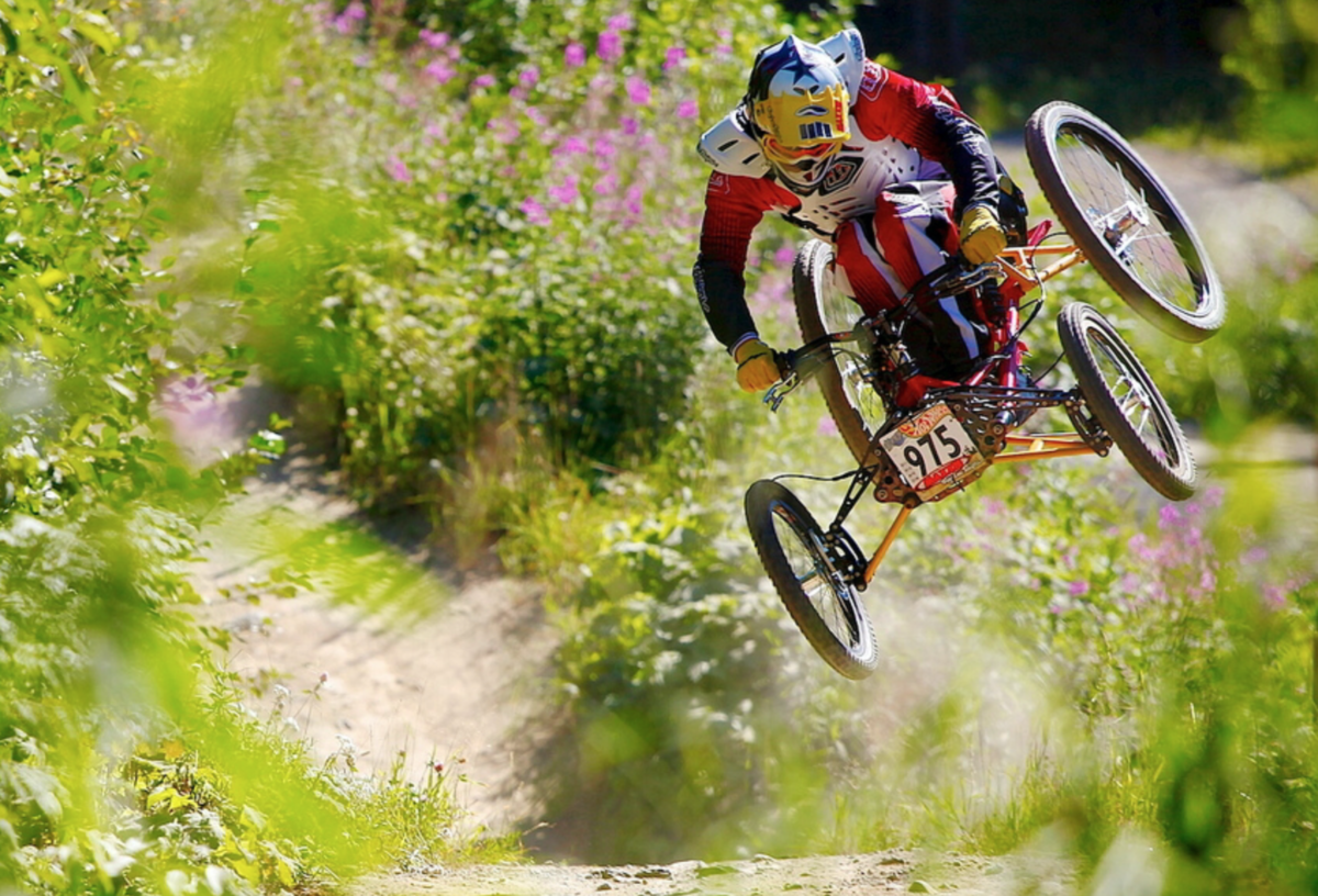 Whistler DH MTB Bike