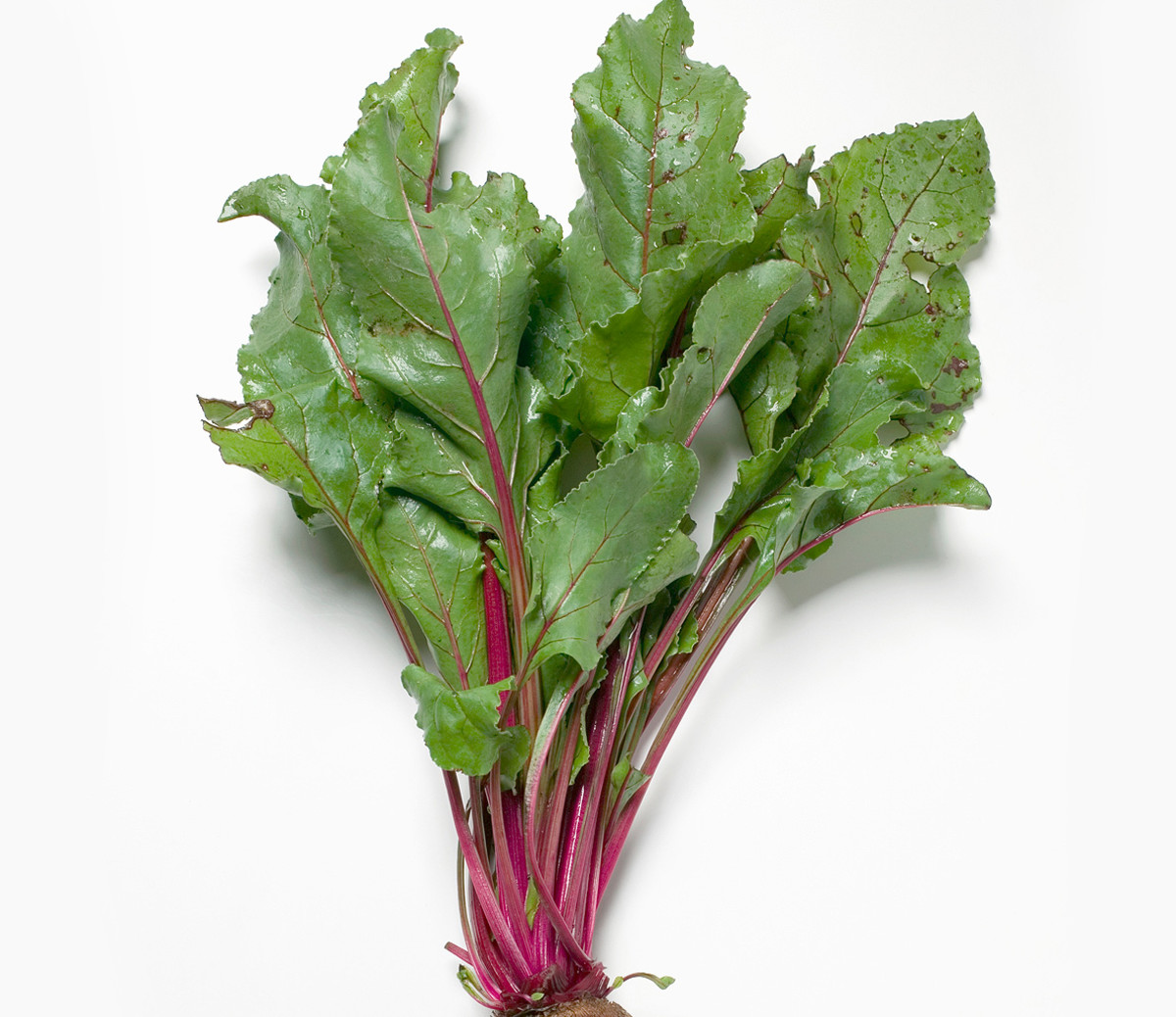 Boost Sport Performance 15 Foods High in Nitrates Men's Journal