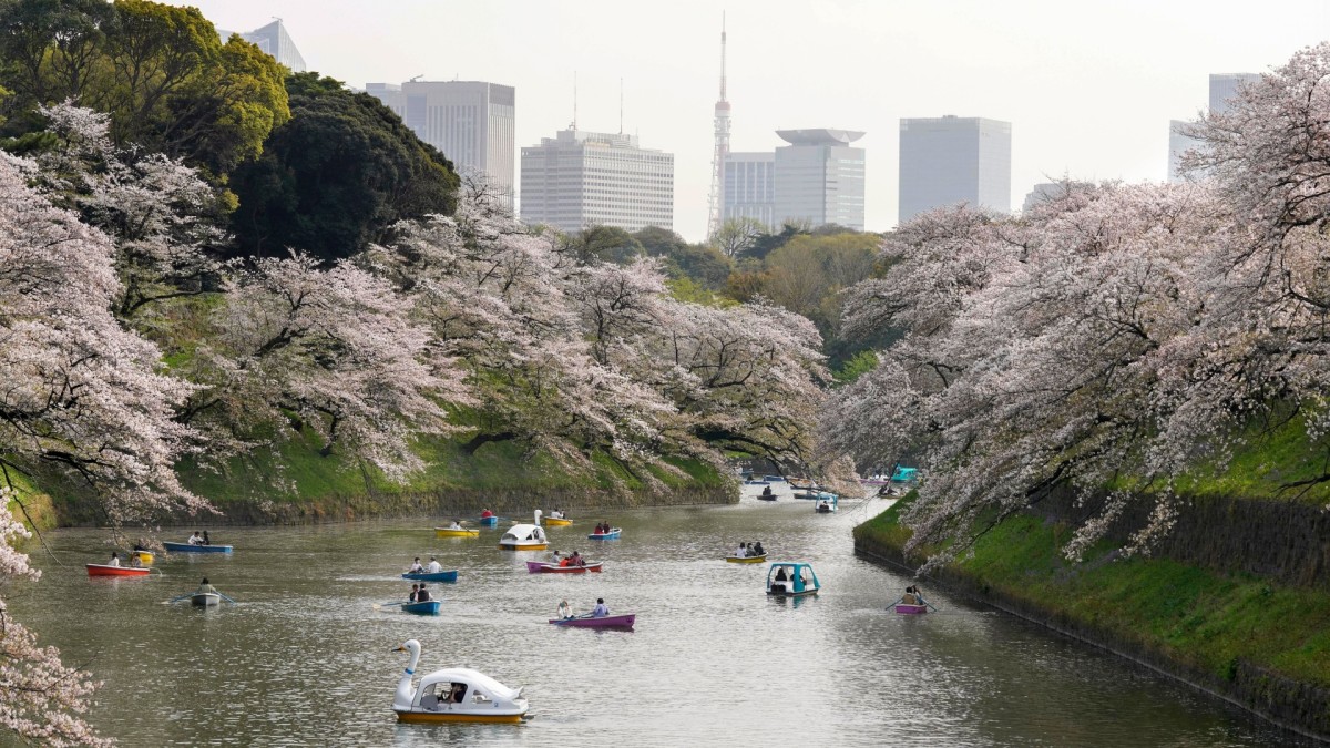 Tokyo Travel Guide  Tokyo Tourism - KAYAK