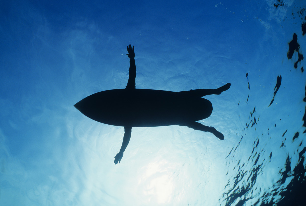 Does Shark Culling for Surfer Safety Make Sense? - Men's Journal