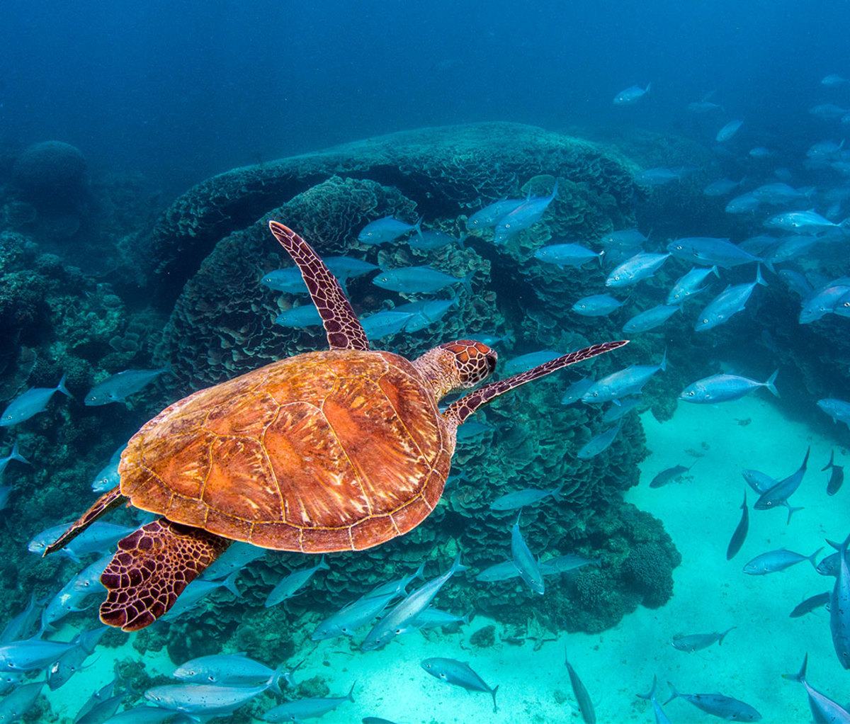 The 10 Best OfftheGrid Travel Destinations to Connect With Nature