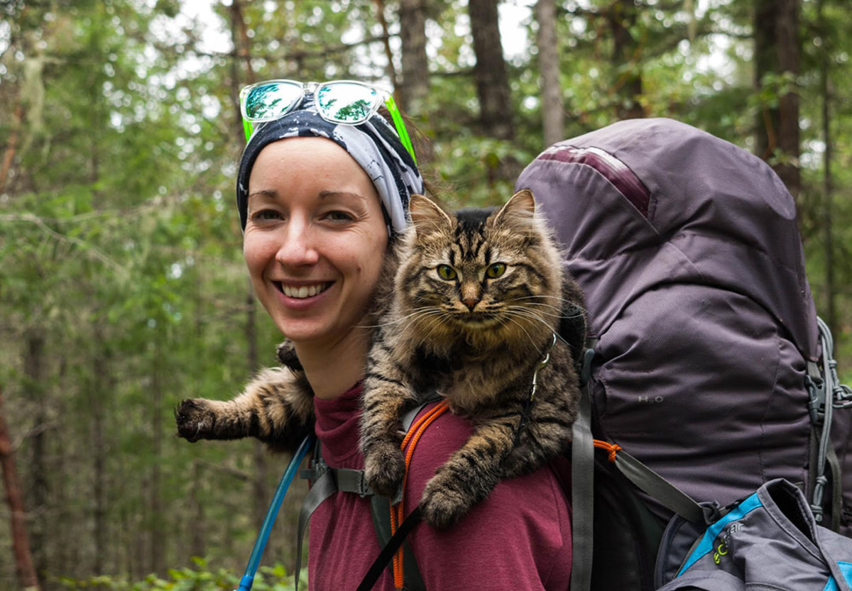 Women find kittens in the trash, transform them into adventure cats
