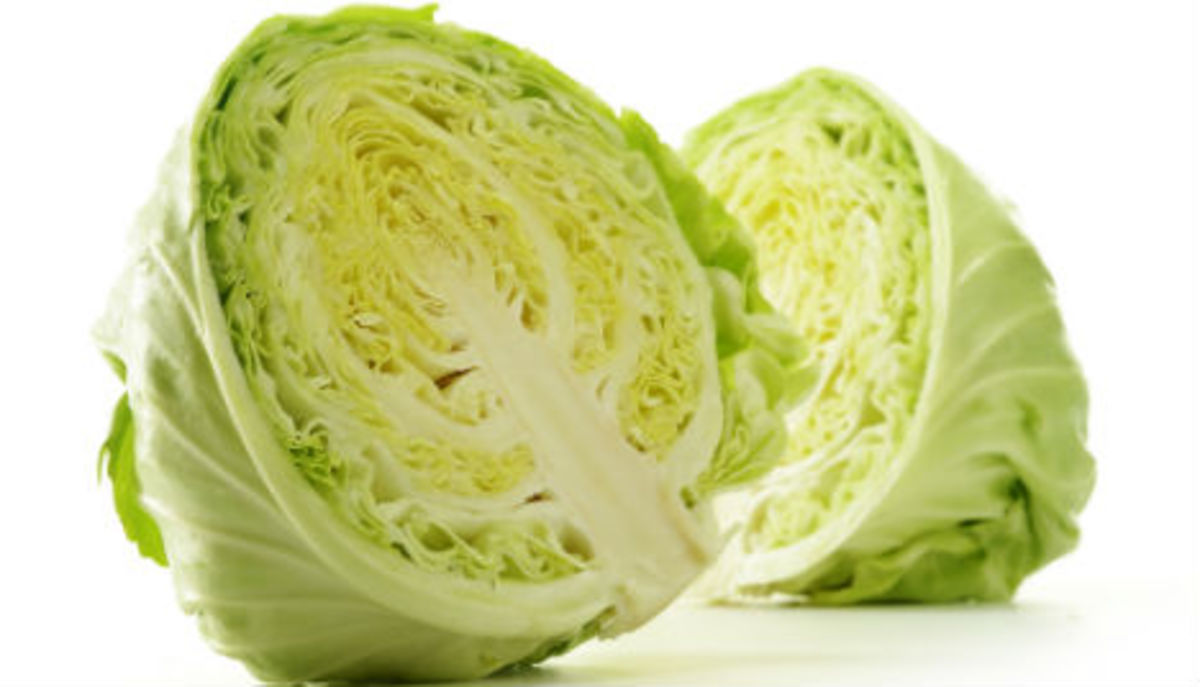 Fit Food Cabbage Men's Journal