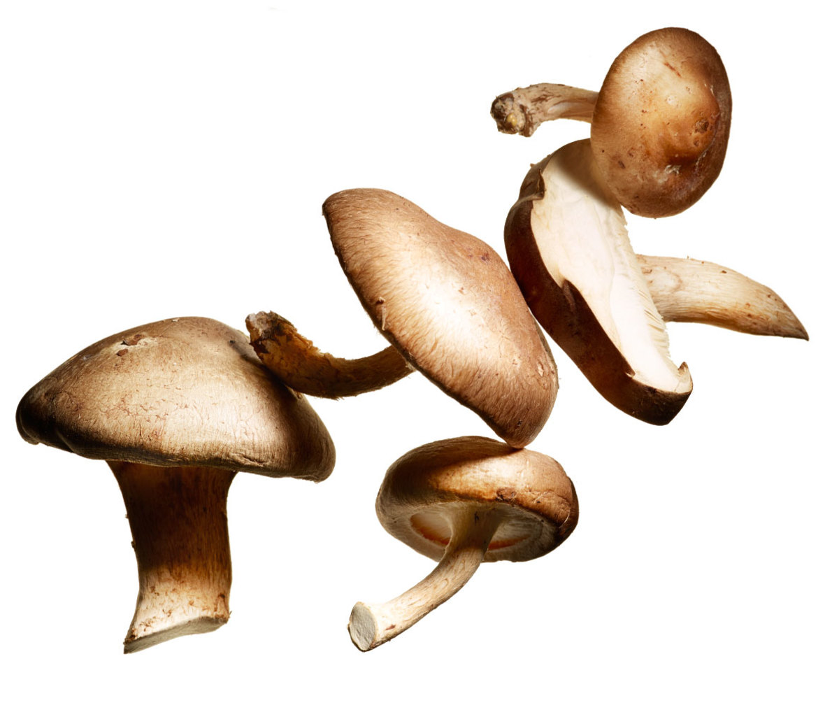 6 testosteroneboosting foods Men's Journal