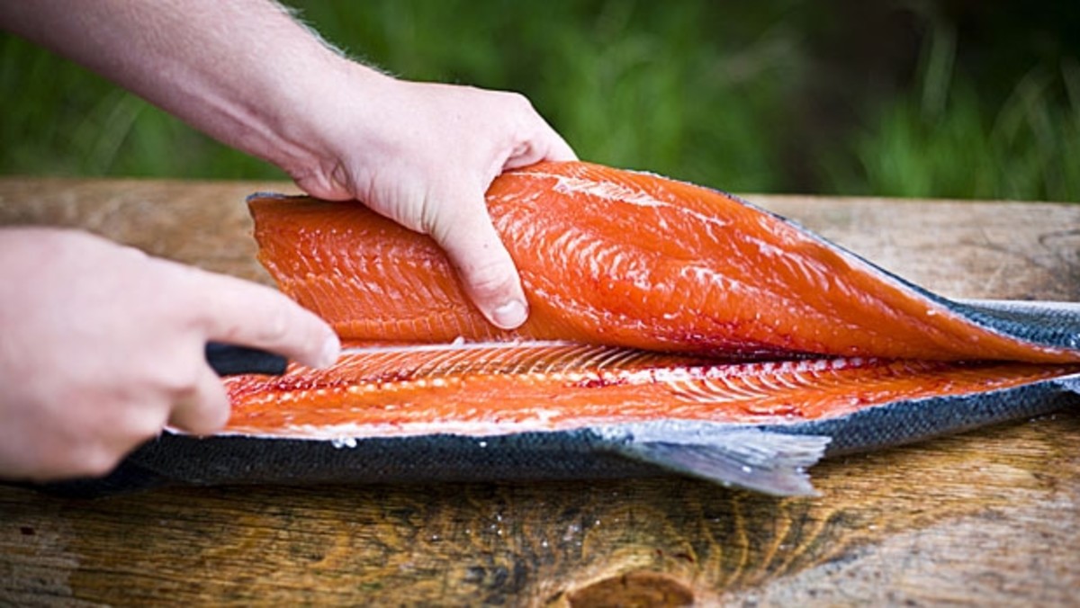 How to fillet a fish