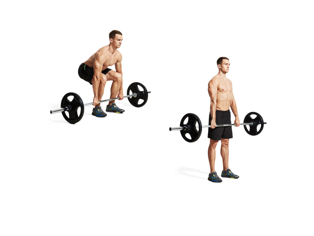Gym back sales workout chart