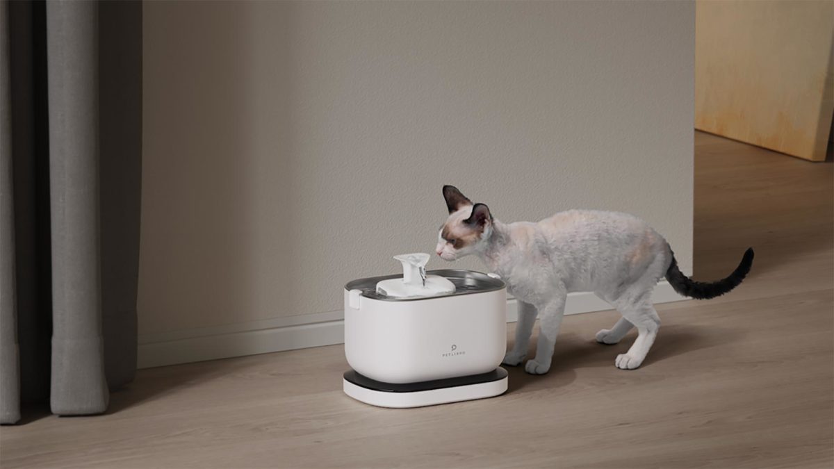 PETLIBRO Innovates with New Cordless Pet Water Fountains Men's Journal