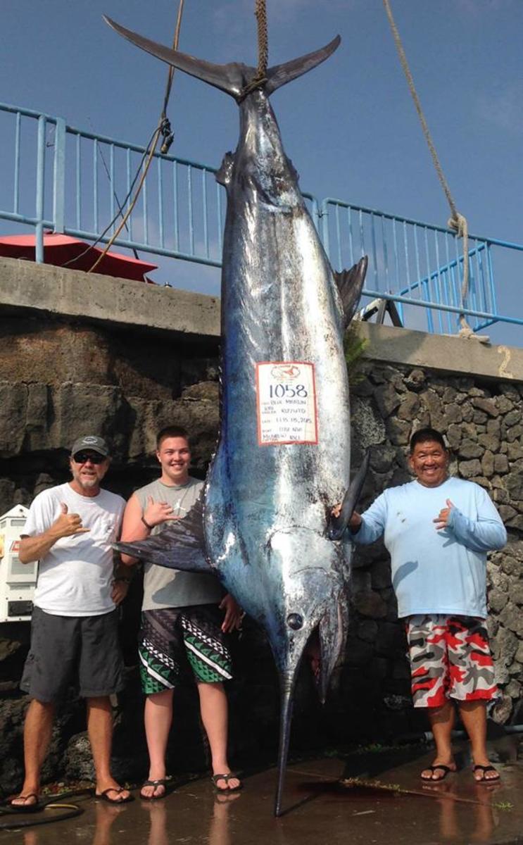 Grander marlin on sale