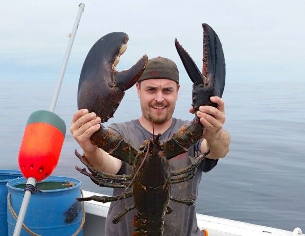 Huge lobster catch in Maine Men's Journal
