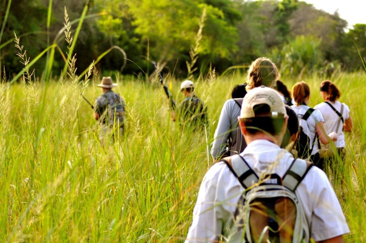 Online Must Haves for Outdoor Enthusiasts