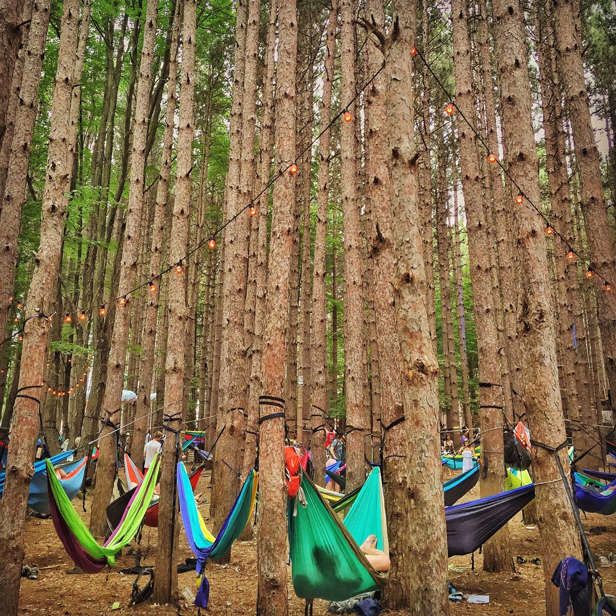Electric hammock sale