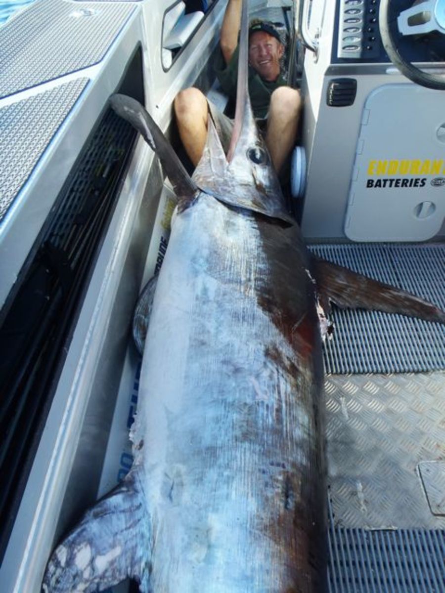 Mako shark attacks 600pound swordfish fisherman was fighting Men's