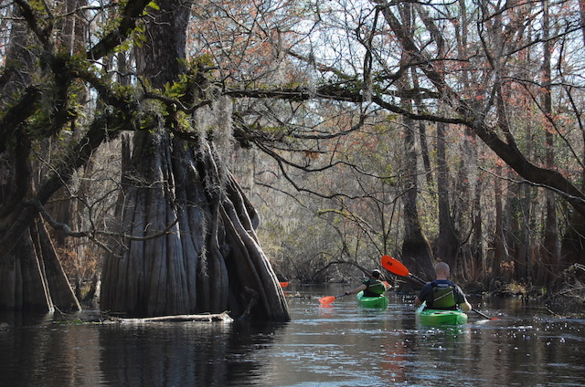 Best of Ebenezer Creek Men's Journal