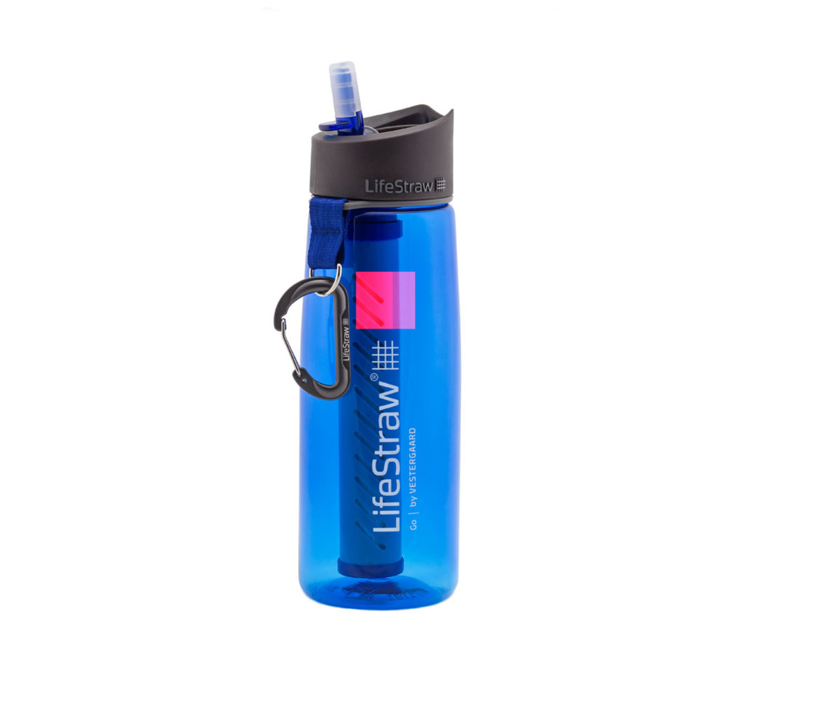 The 10 Best Gym Water Bottles (2022)