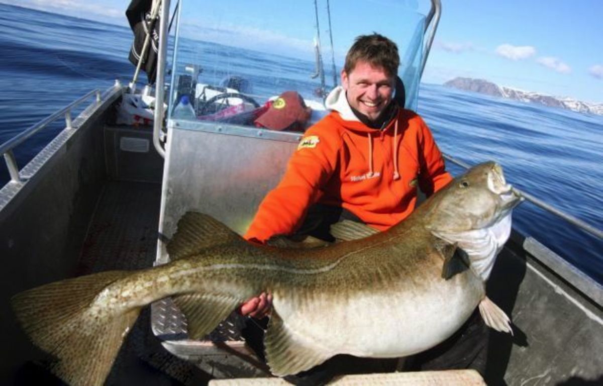 Huge, world-record cod taken by German fisherman - Men's Journal