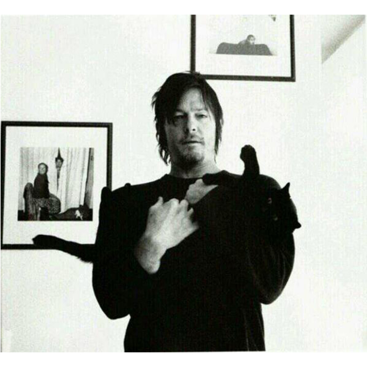 Reasons norman reedus is a badass cat