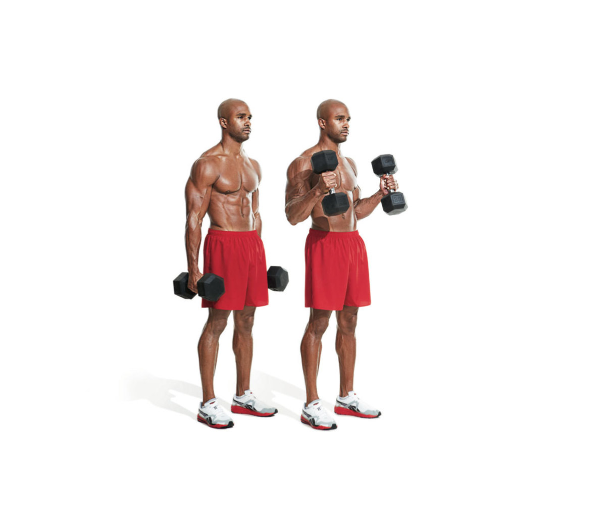 Upper body sales muscle exercises