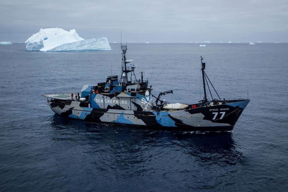 Sea Shepherd abandons annual whale wars with Japan - Men's Journal