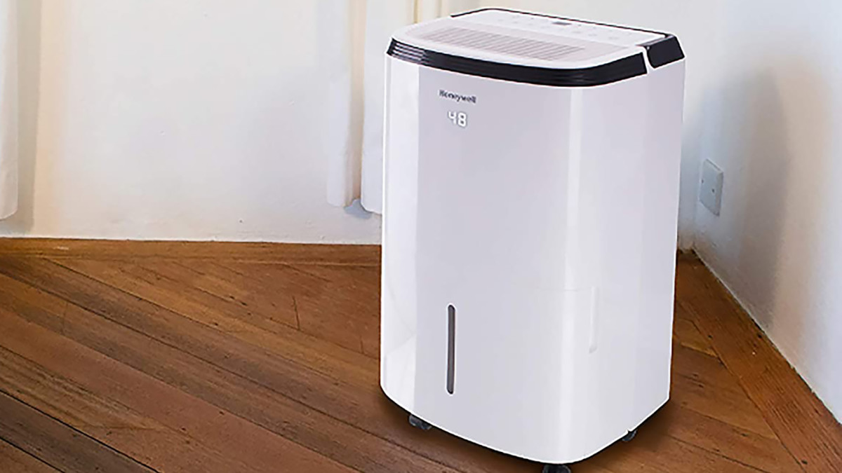 Best Dehumidifiers for Damp Basements