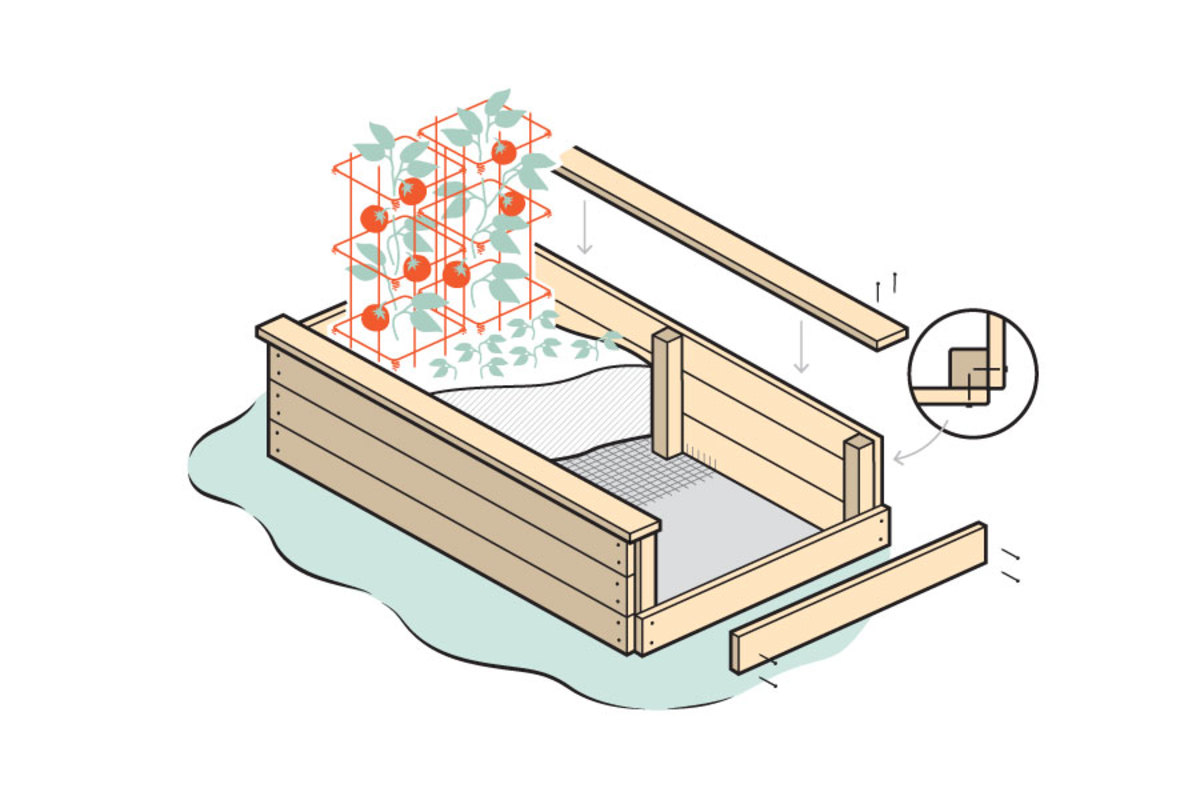 How to Build Your Own Raised Tomato Bed This Summer Men's Journal