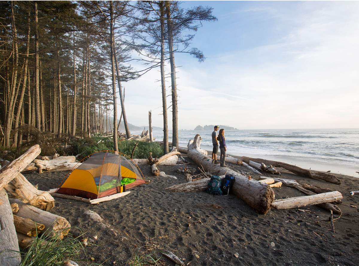Camping forest near me deals
