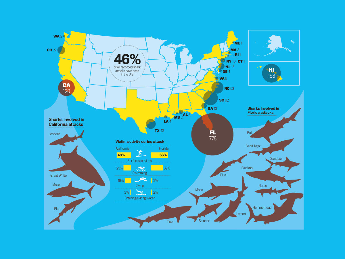 Места нападения. Карта нападения акул. Места обитания акул на карте. Распространение акул на карте. Места обитания белых акул.