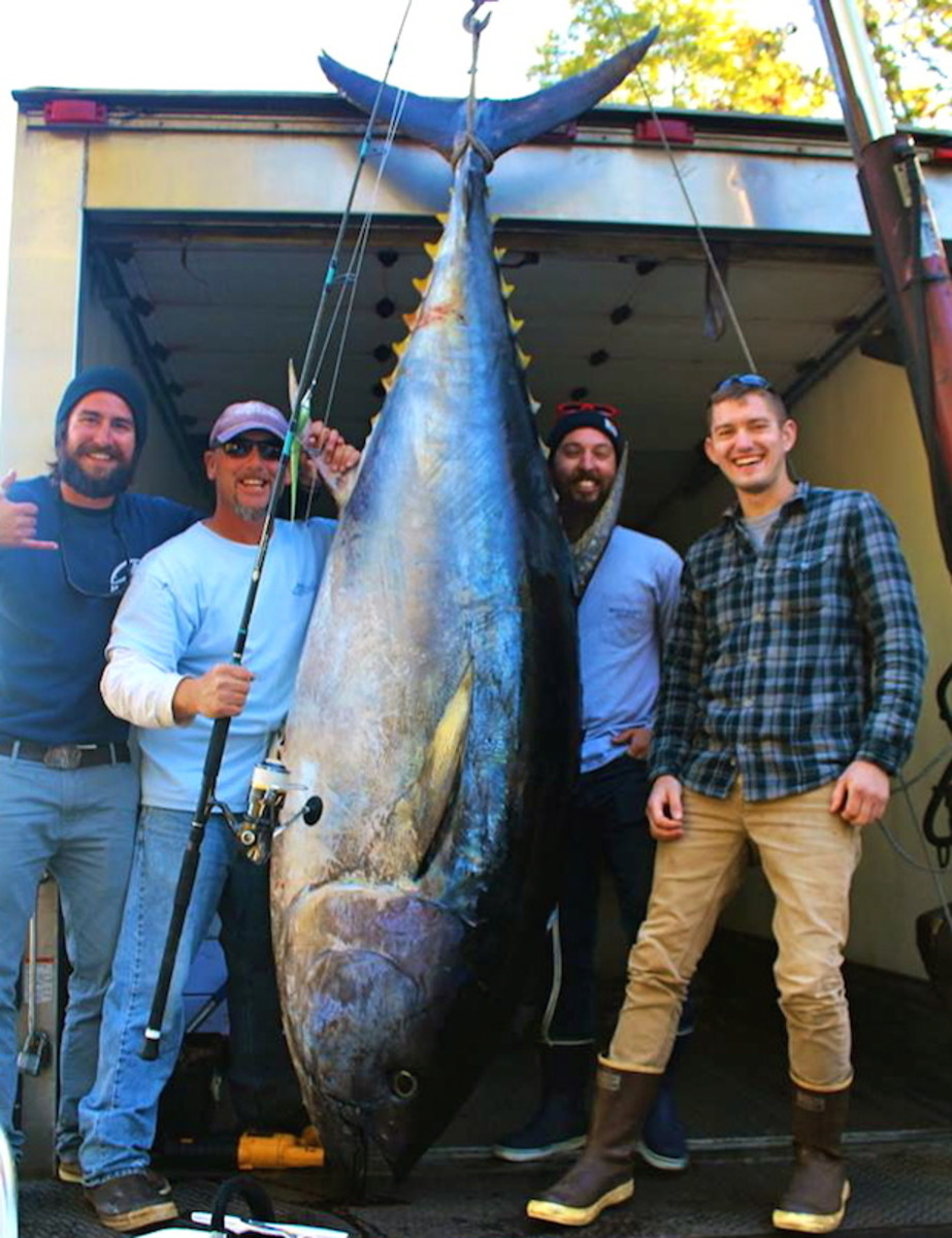 597-pound bluefin tuna caught on spinning rod - Men's Journal