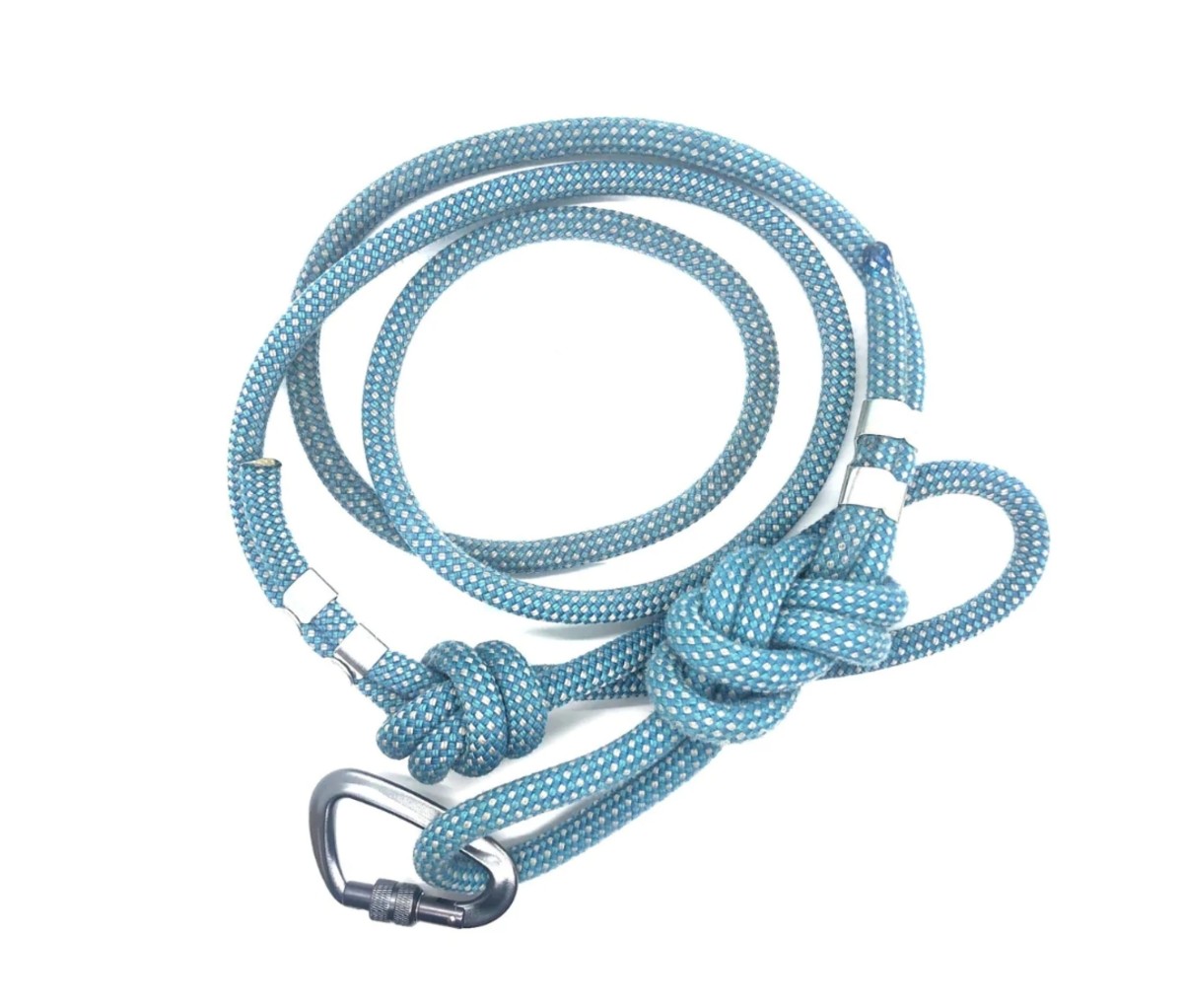 Best rope sales leashes