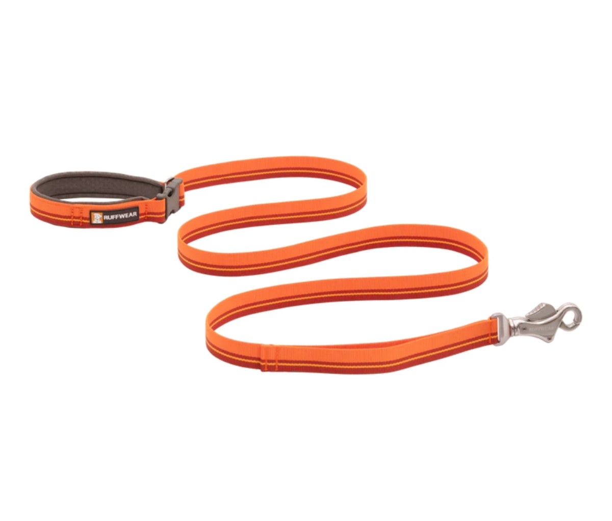 Orange Nylon Short Leash, Traffic Leash, City Leash, Training Leash for Dogs