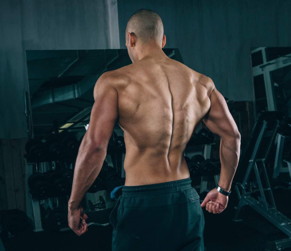 Back muscle building exercises at home 2025