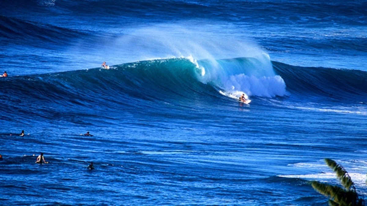 Dangerous Fun: The Social Lives of Big Wave Surfers, Corte