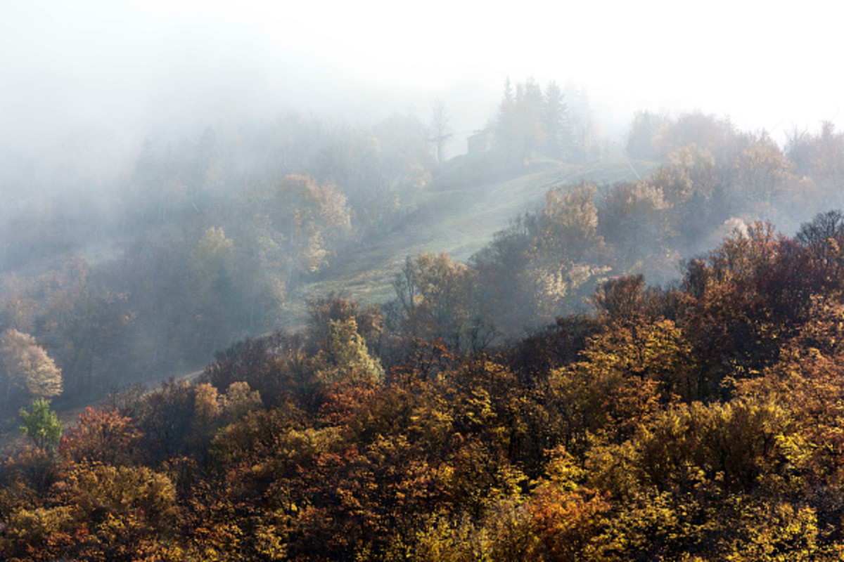 Meteorite Potential Cause of New Hampshire Forest Fire Men's Journal