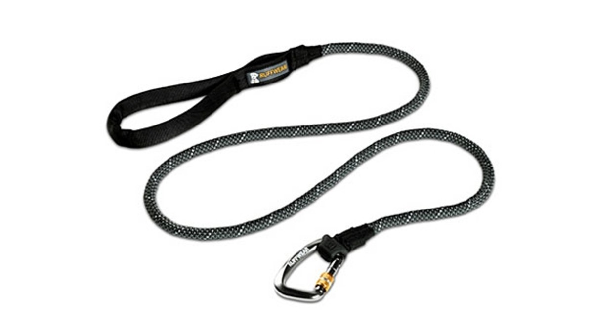 The Best Leashes for Every Kind of Dog Men's Journal