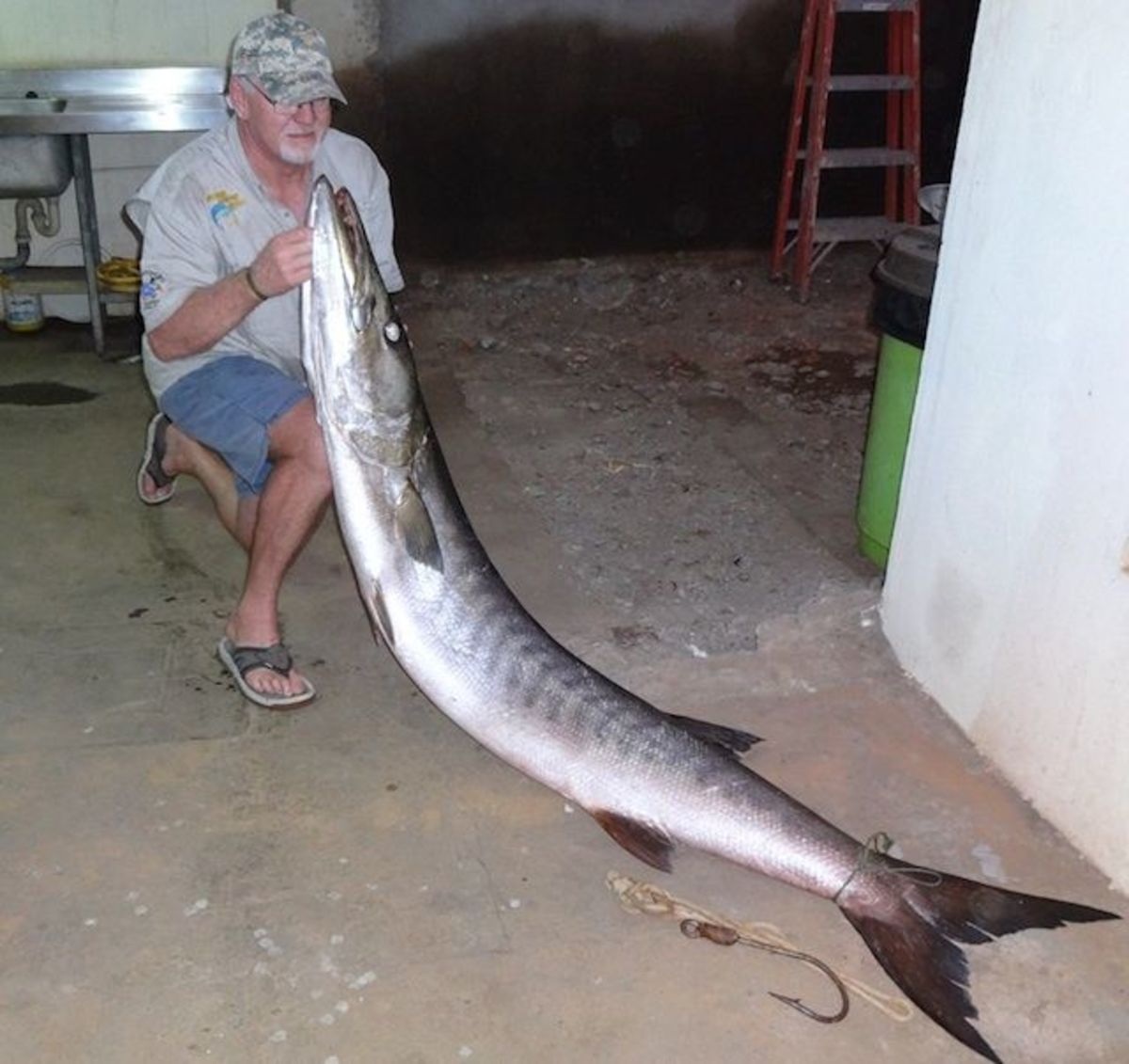 River monster barracuda is nearly 7-feet long 102 pounds - Men s
