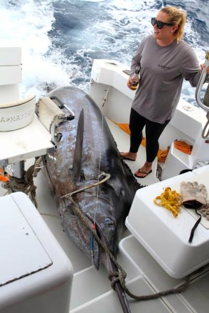 1,305-pound blue marlin is largest ever caught by a woman; a probable