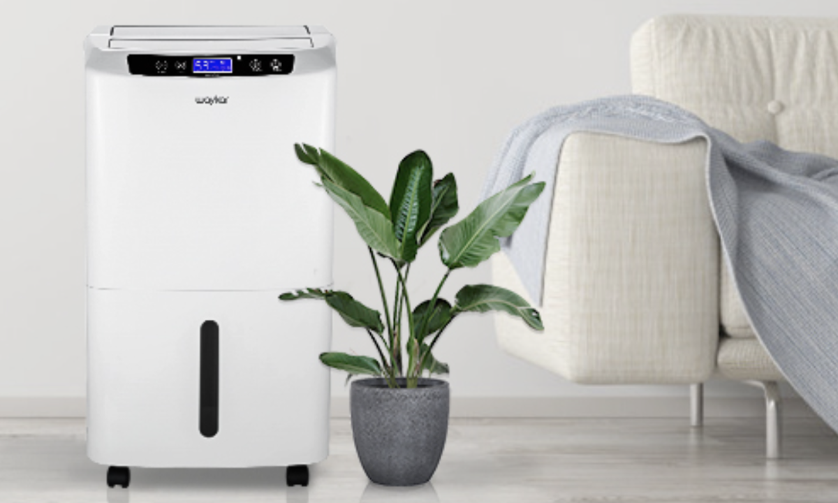 Sick of Feeling Sticky? This EnergySaving Dehumidifier Will Make Your