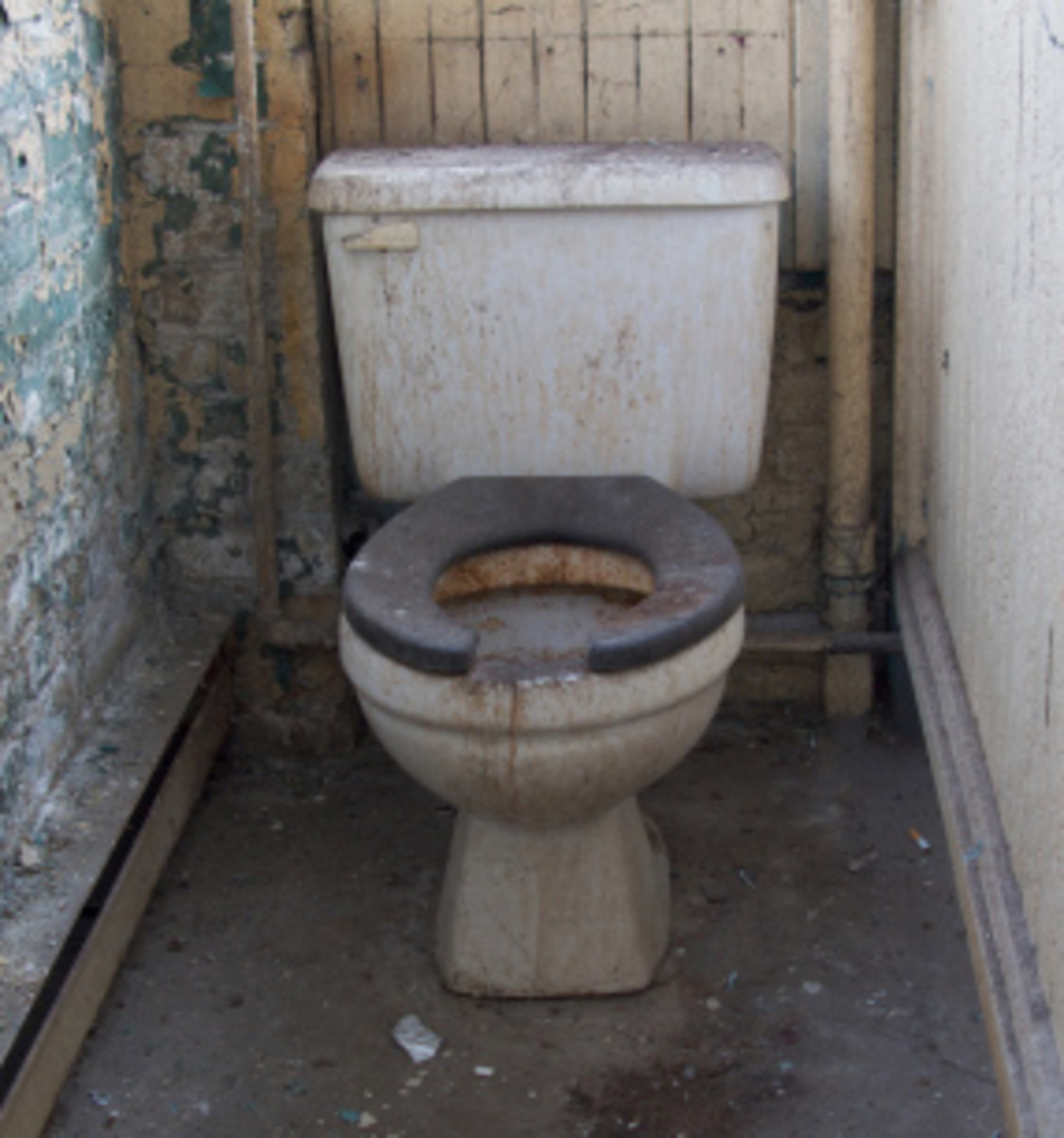 Learn about 80+ imagen can you get herpes from urine on a toilet seat