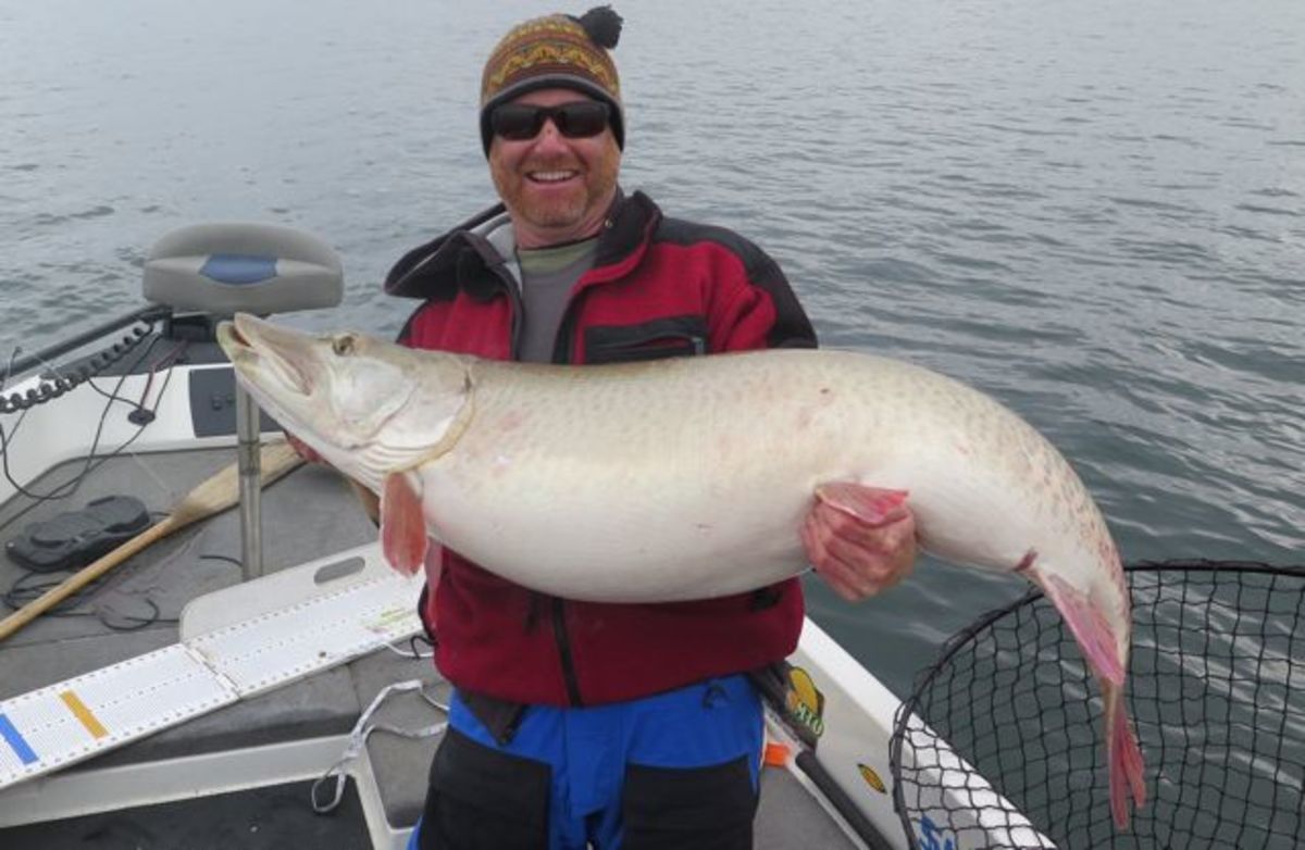 Massive muskie caught in Minnesota looks like a world record, but