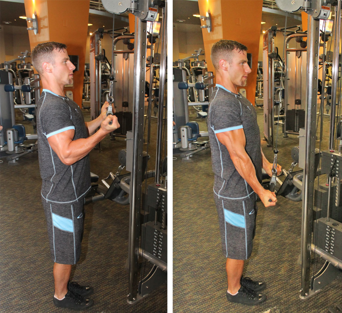 Reverse Grip Triceps Cable Push down