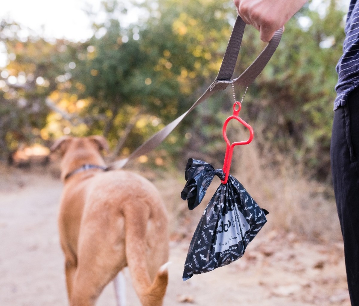 Petco hands shop free leash