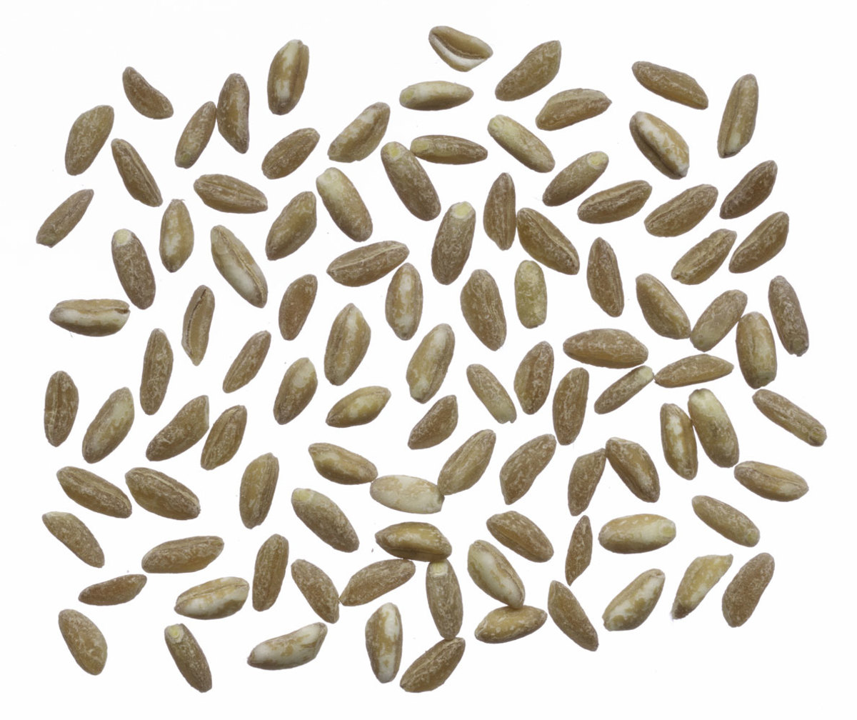 The 10 Best Meatfree Foods to Build Muscle Men's Journal