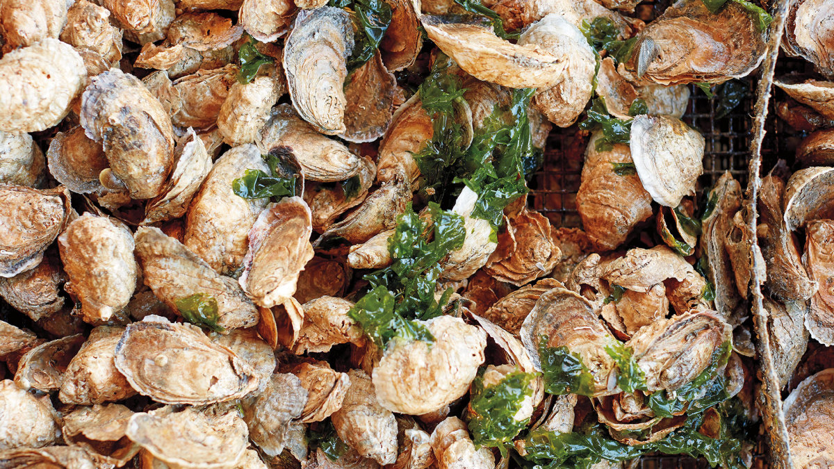 Should You Only Eat Oysters in Months With an 'R'? Men's Journal