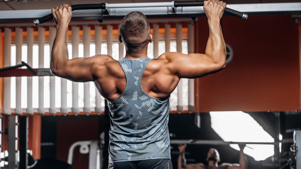 The Best Hypertrophy Back Workout