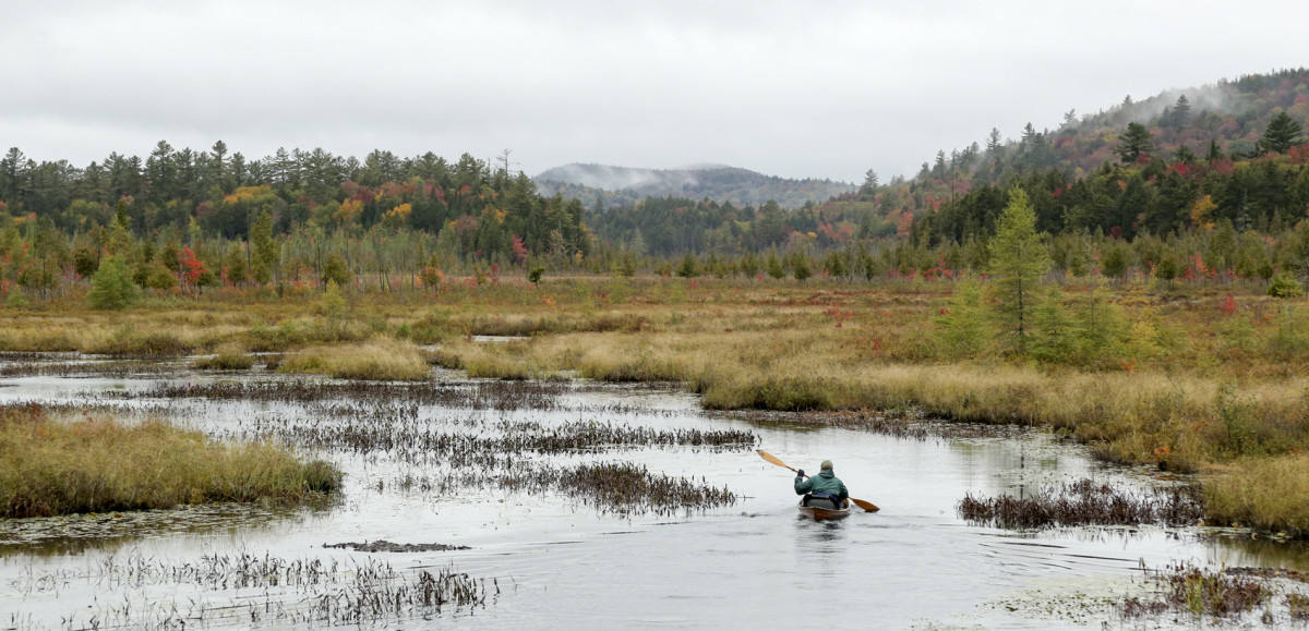 Buyer's Guide Lightweight, Adirondack Pack Canoes Canoe & Kayak