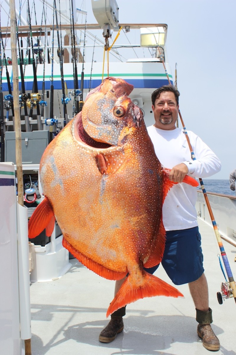 Rare opah catch might be a world record - Men's Journal