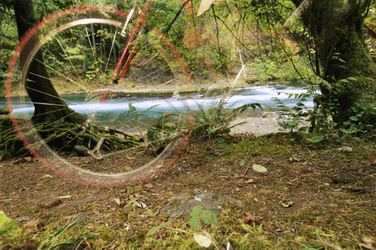 mckenzie river trail mountain biking