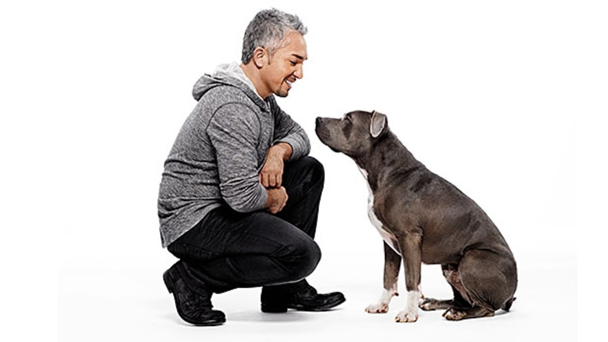 Cesar millan vegan 2025