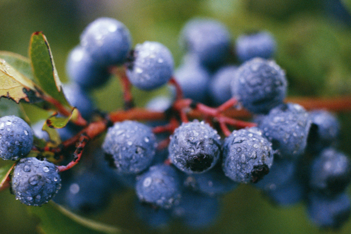 10 Unexpected Foods That Lower Bad Cholesterol Men's Journal